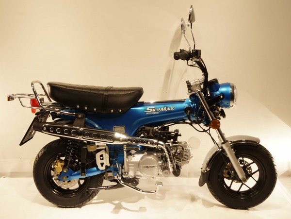 SKYMAX SE 125i METALLIC BLAU