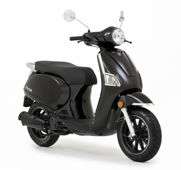 BEELINE MEMORY SCHWARZ