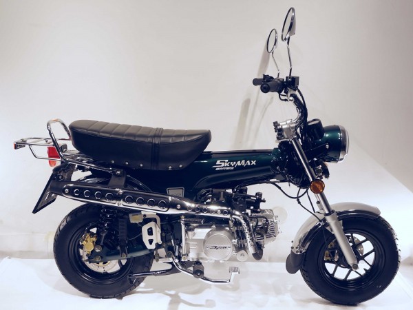 SKYMAX SE 125i METALLIC GRÜN